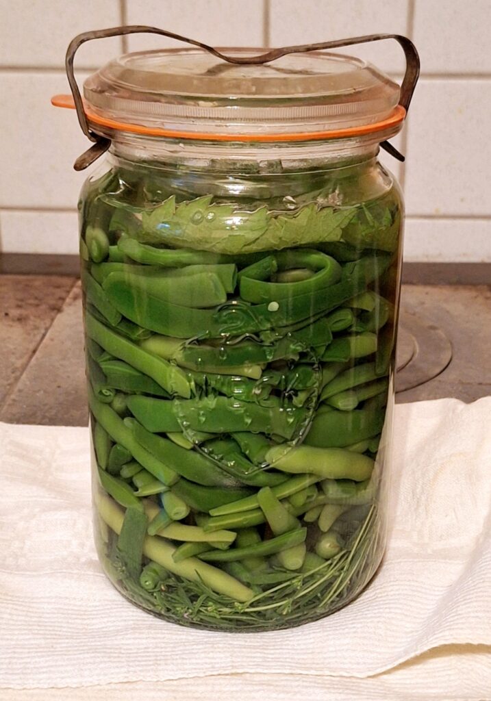 Bohnen fermentieren im Weckglas